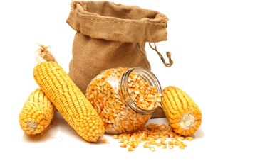 技術(shù)優(yōu)勢(shì)